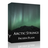 Arctic Strings